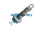 ���� ���� ���������� 